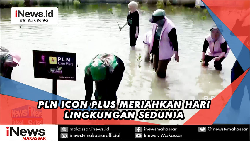 PLN Icon Plus Tanam Mangrove Dan Aksi Bersih Pantai PPLH Puntondo