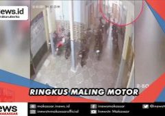 RINGKUS MALING MOTOR